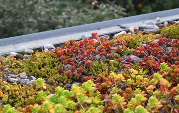 the cost of Pontshill green roof installation