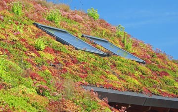 Pontshill living roof systems
